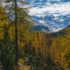 Blick zum Morteratsch-Gletscher