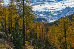 Blick zum Morteratsch-Gletscher