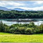 Blick zum Mt. Snowdon