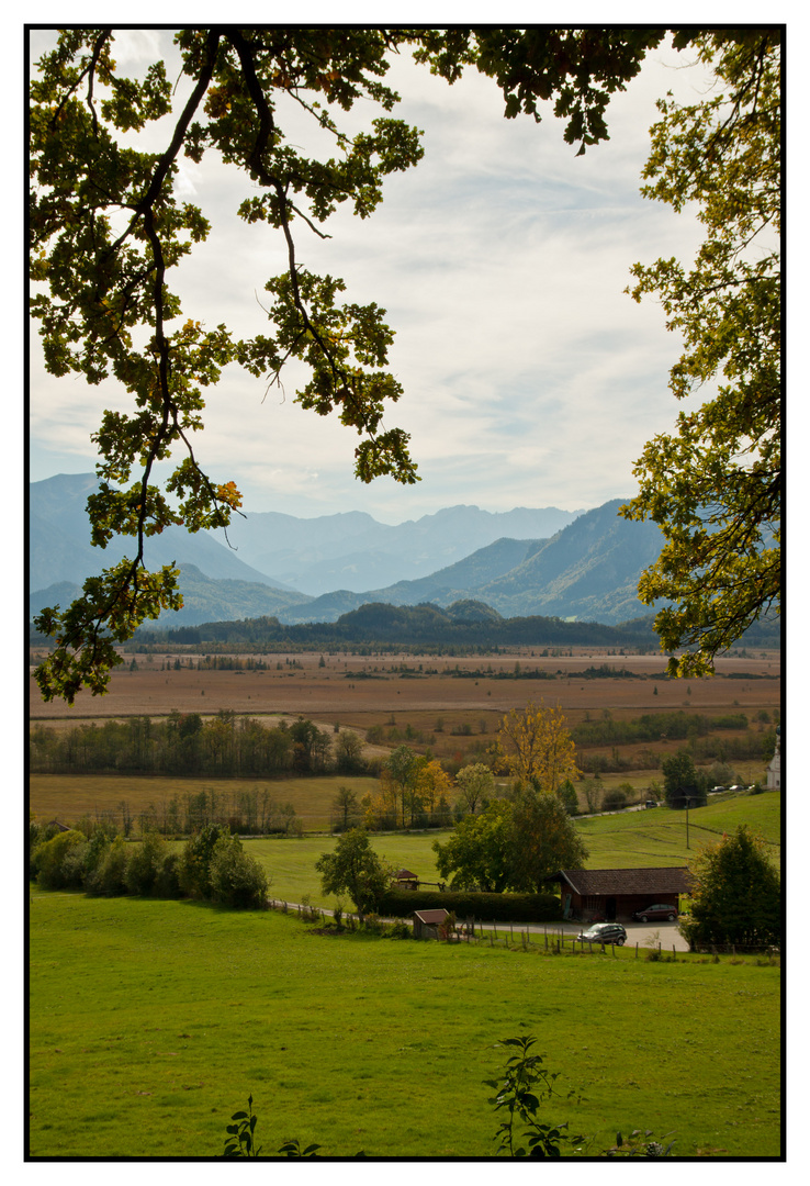 Blick zum Murnauer Moos