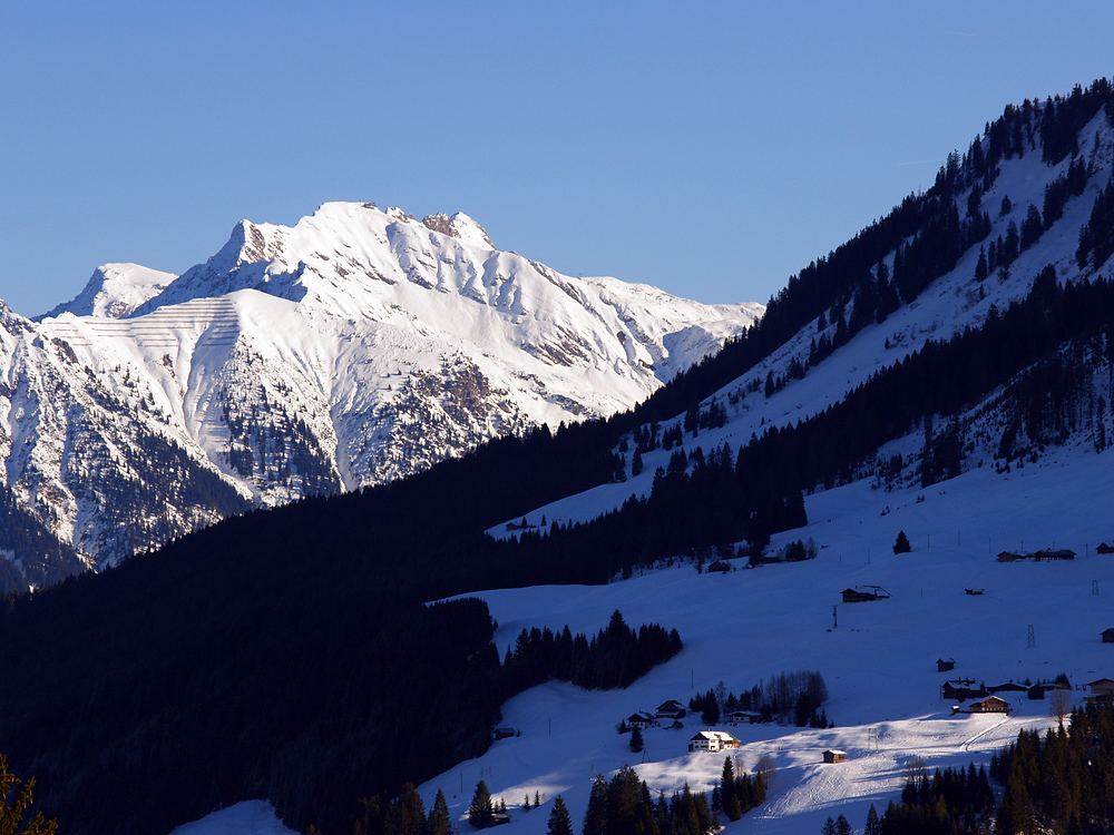 Blick zum Nebelhorn