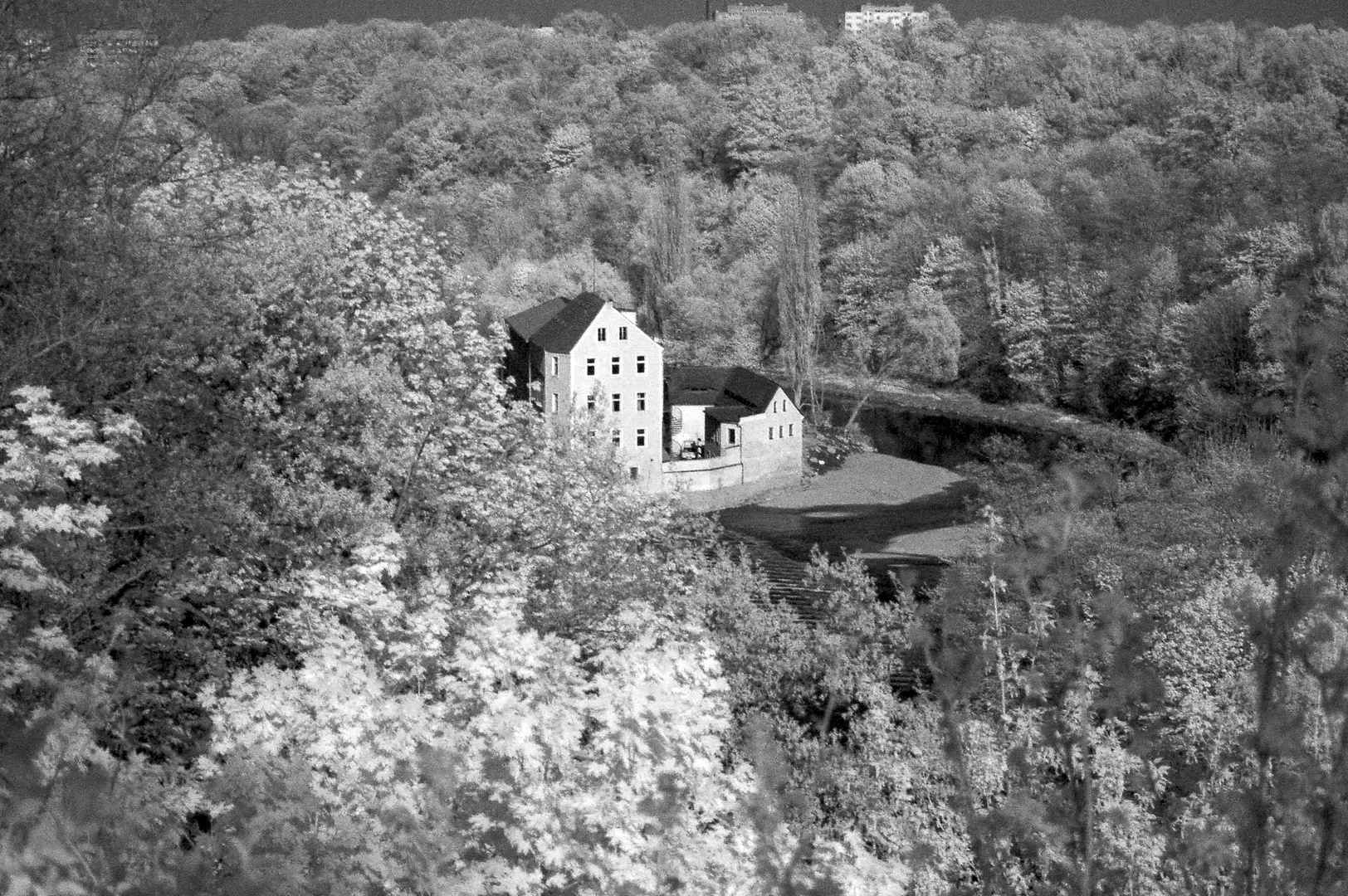 Blick zum Neißewehr und der Obermühle