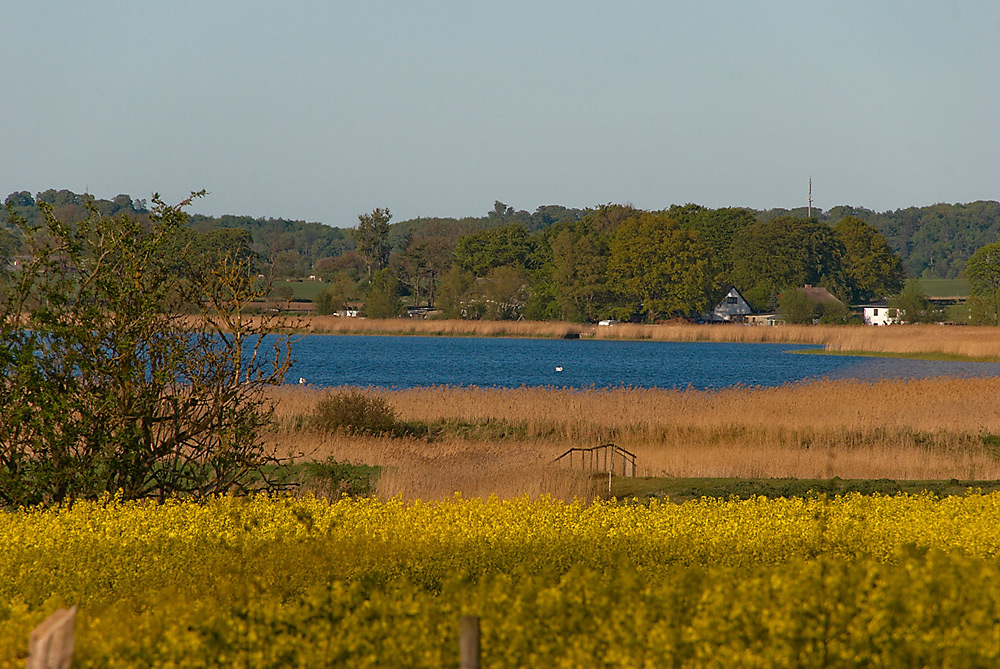 Blick zum Neuensiener See bei Seedorf