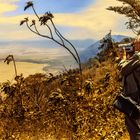 Blick zum Ngorongoro Krater