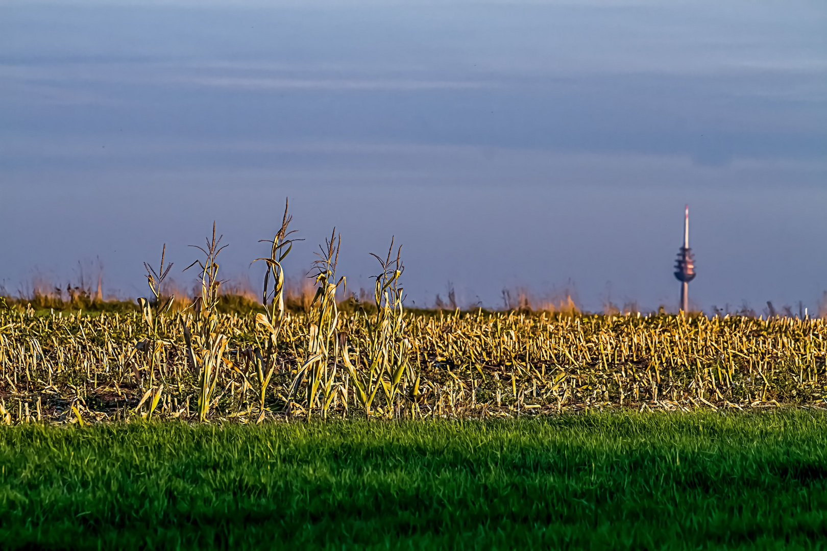 Blick zum Nürnberger Fernsehturm