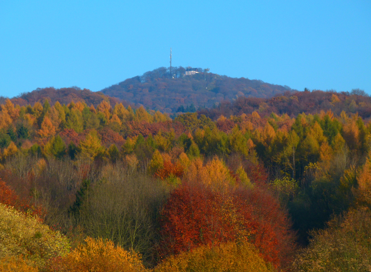 Blick zum Ölberg