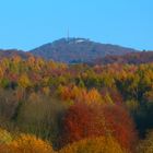 Blick zum Ölberg