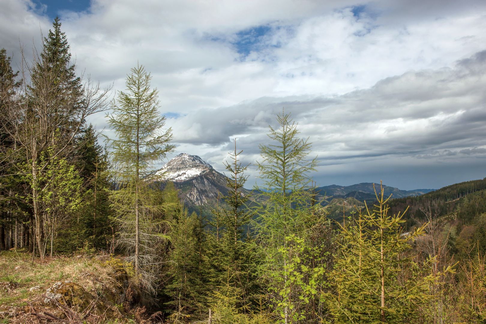 Blick zum Ötscher