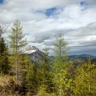 Blick zum Ötscher