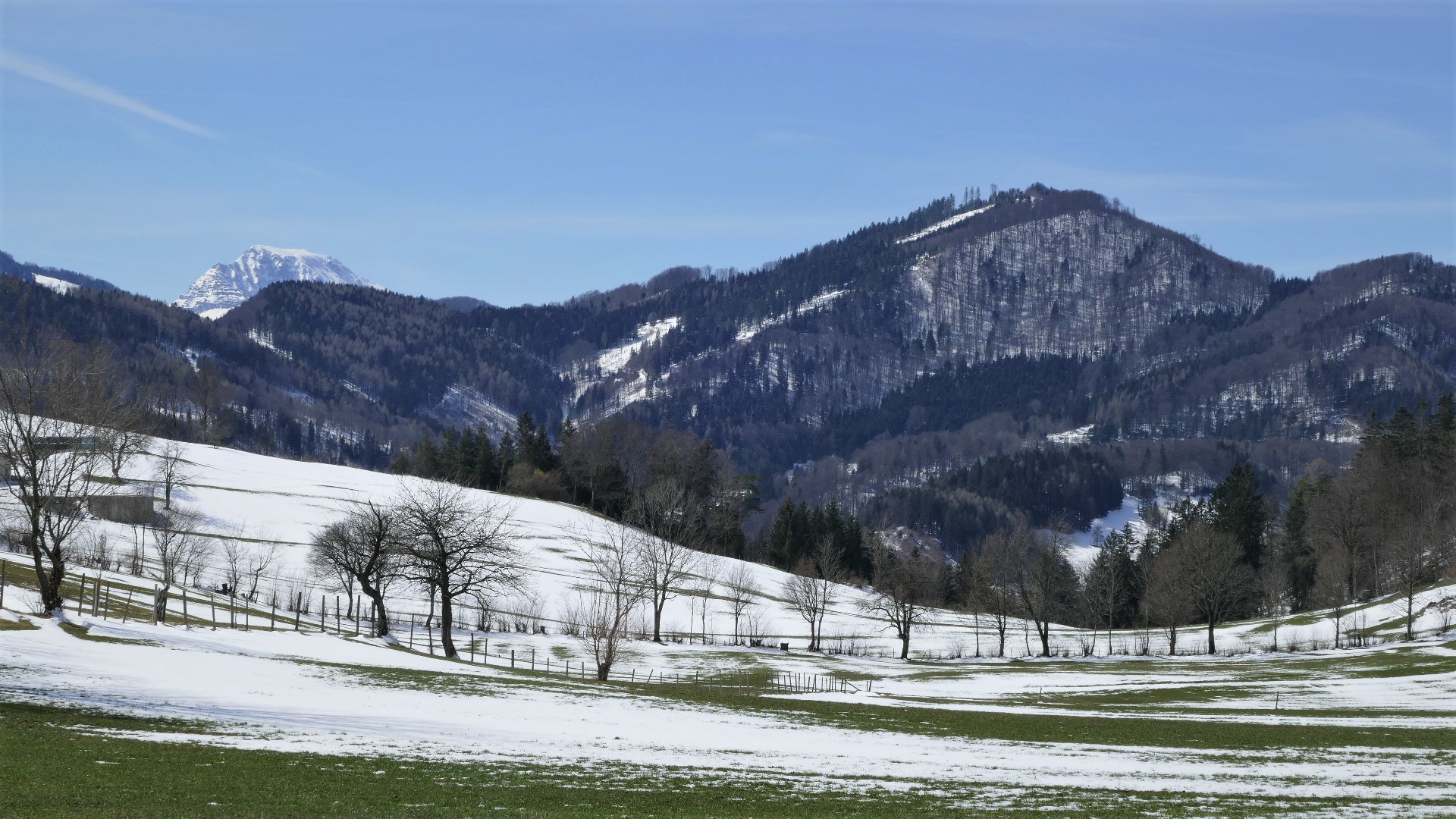 Blick zum Ötscher