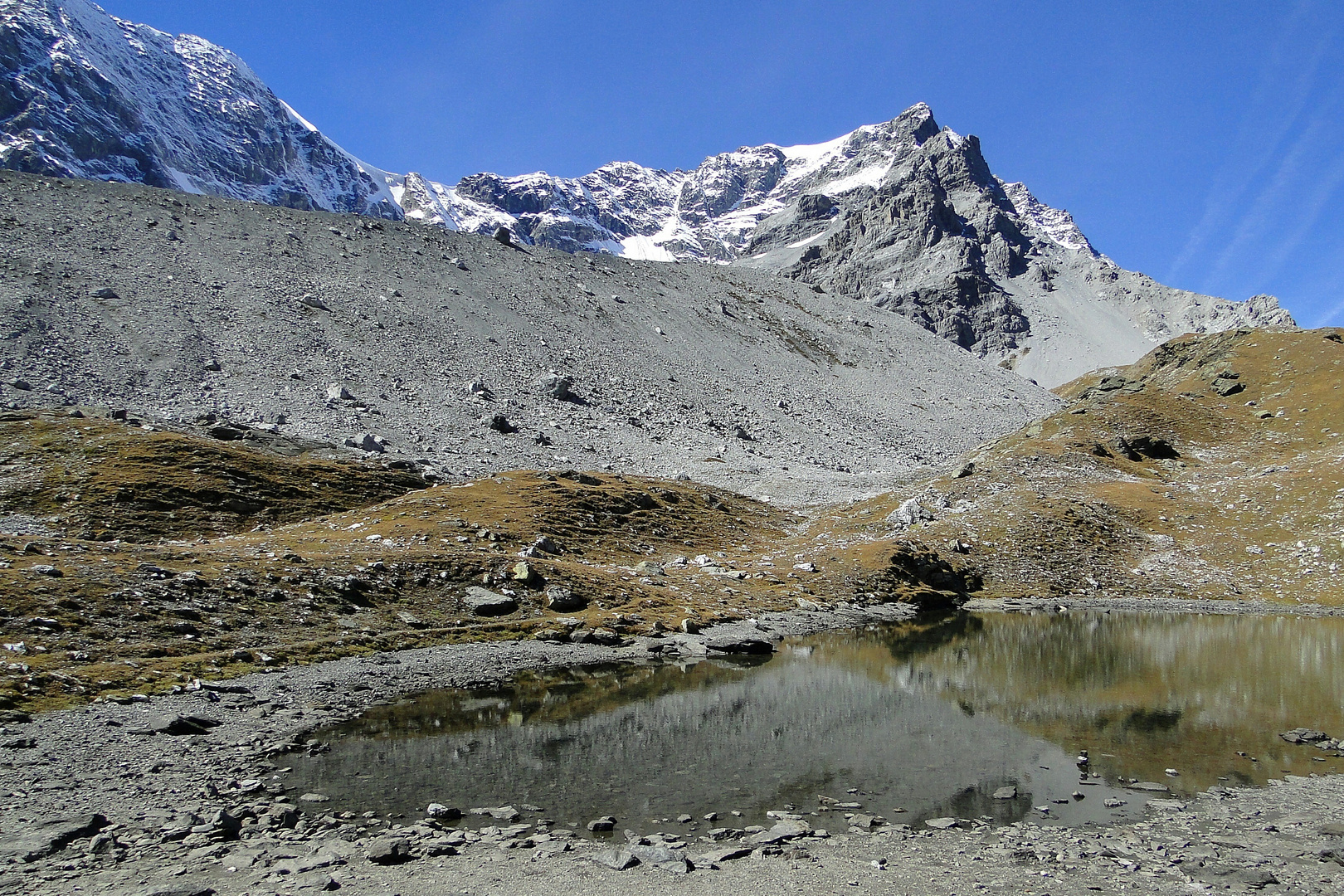 Blick zum Ortler