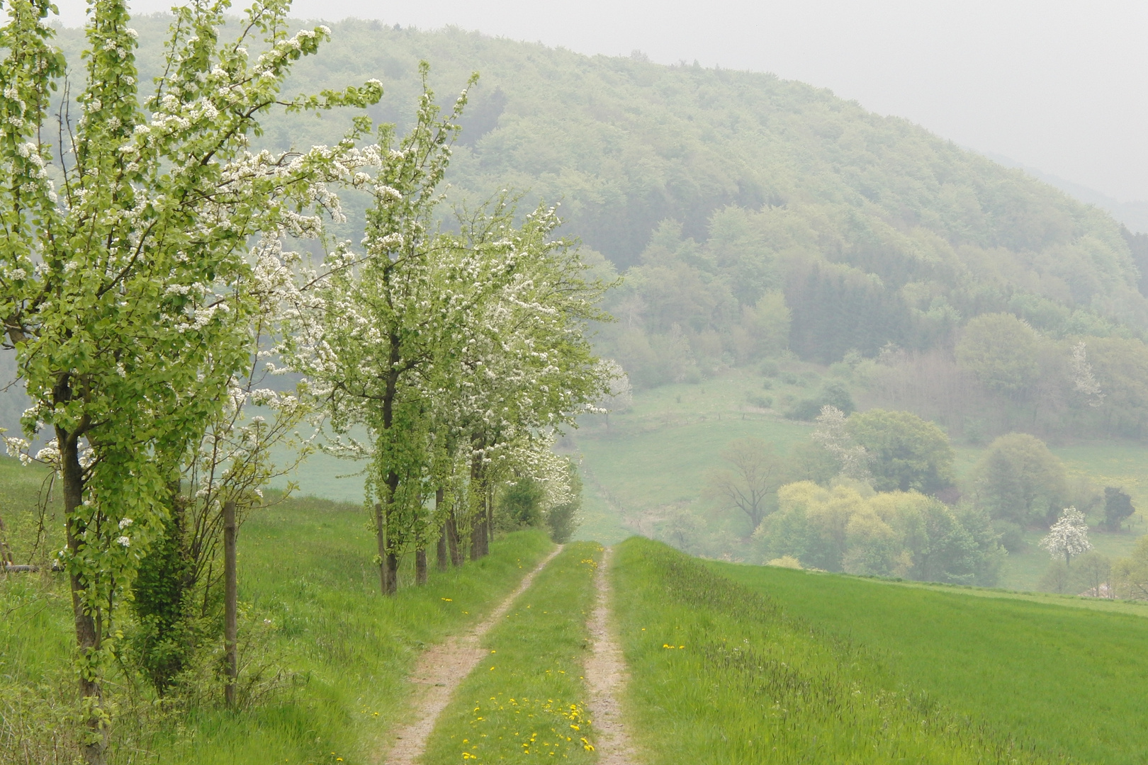 Blick zum Osterberg