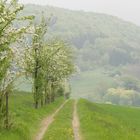 Blick zum Osterberg