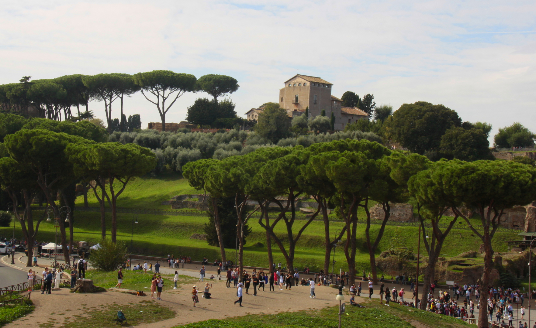 Blick zum Palatin Foto & Bild italy, world, natur Bilder auf