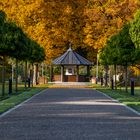 Blick zum Pavillon