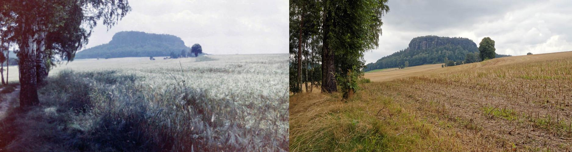 Blick zum Pfaffenstein 1986 und 2016