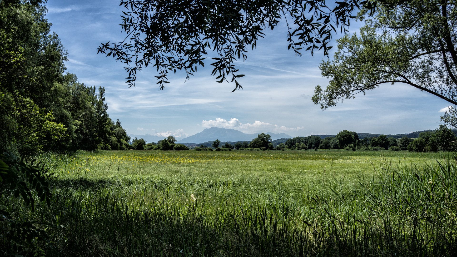 Blick zum Pilatus der Hausberg von Luzern