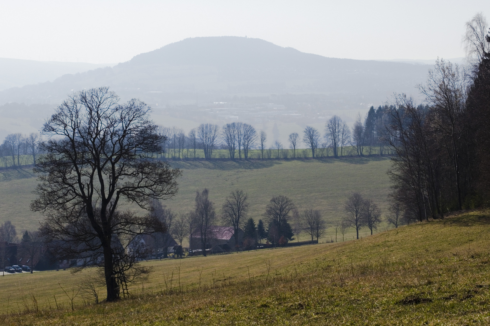 Blick zum Pöhlberg