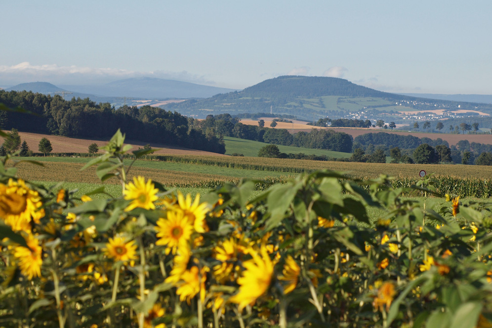 Blick zum Pöhlberg