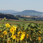 Blick zum Pöhlberg