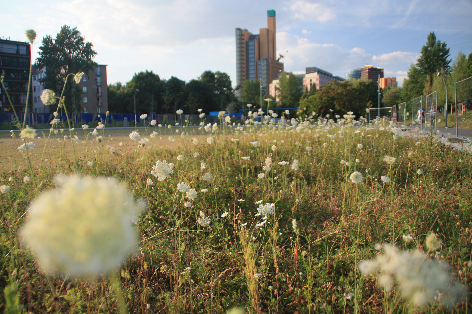 Blick zum Potsdamer Platz