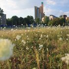 Blick zum Potsdamer Platz