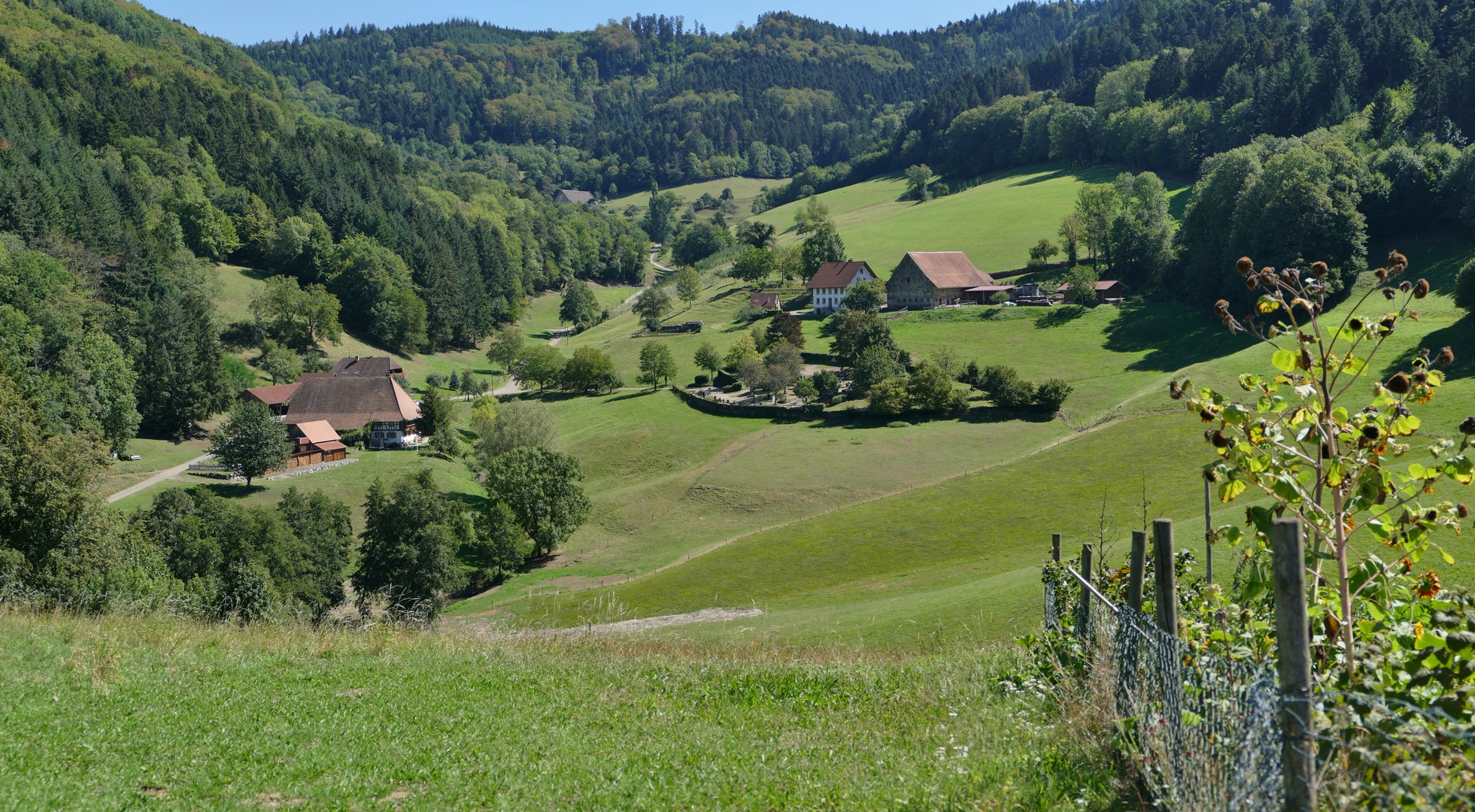 Blick zum Reschhof in Suggental