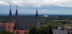 Blick zum Rhein