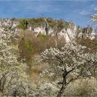 Blick zum Rodenstein