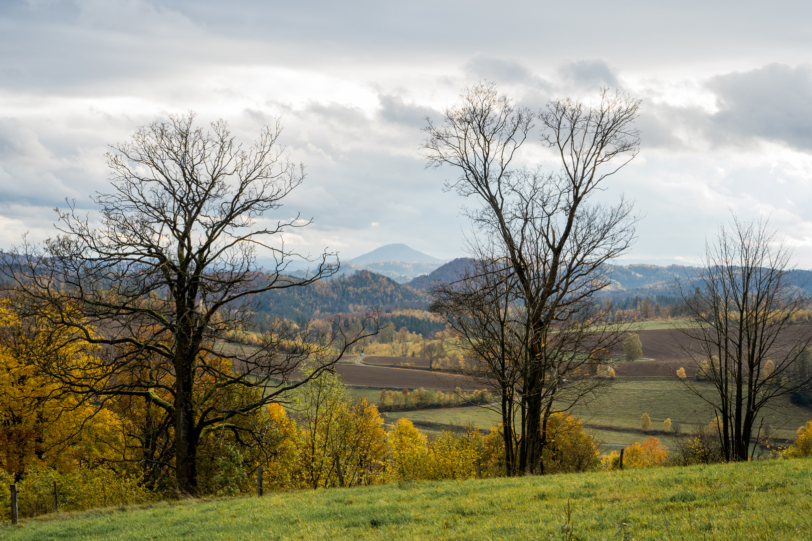 Blick zum Rosenberg