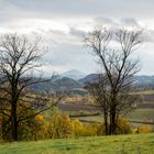 Blick zum Rosenberg