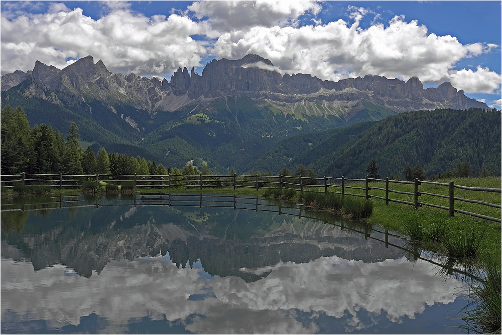 Blick zum Rosengarten