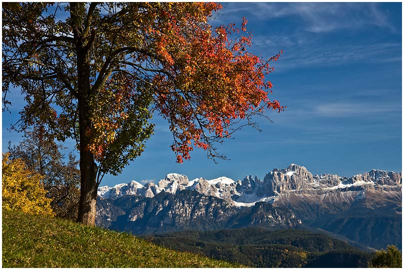 Blick zum Rosengarten