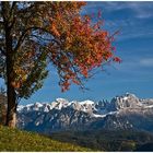 Blick zum Rosengarten