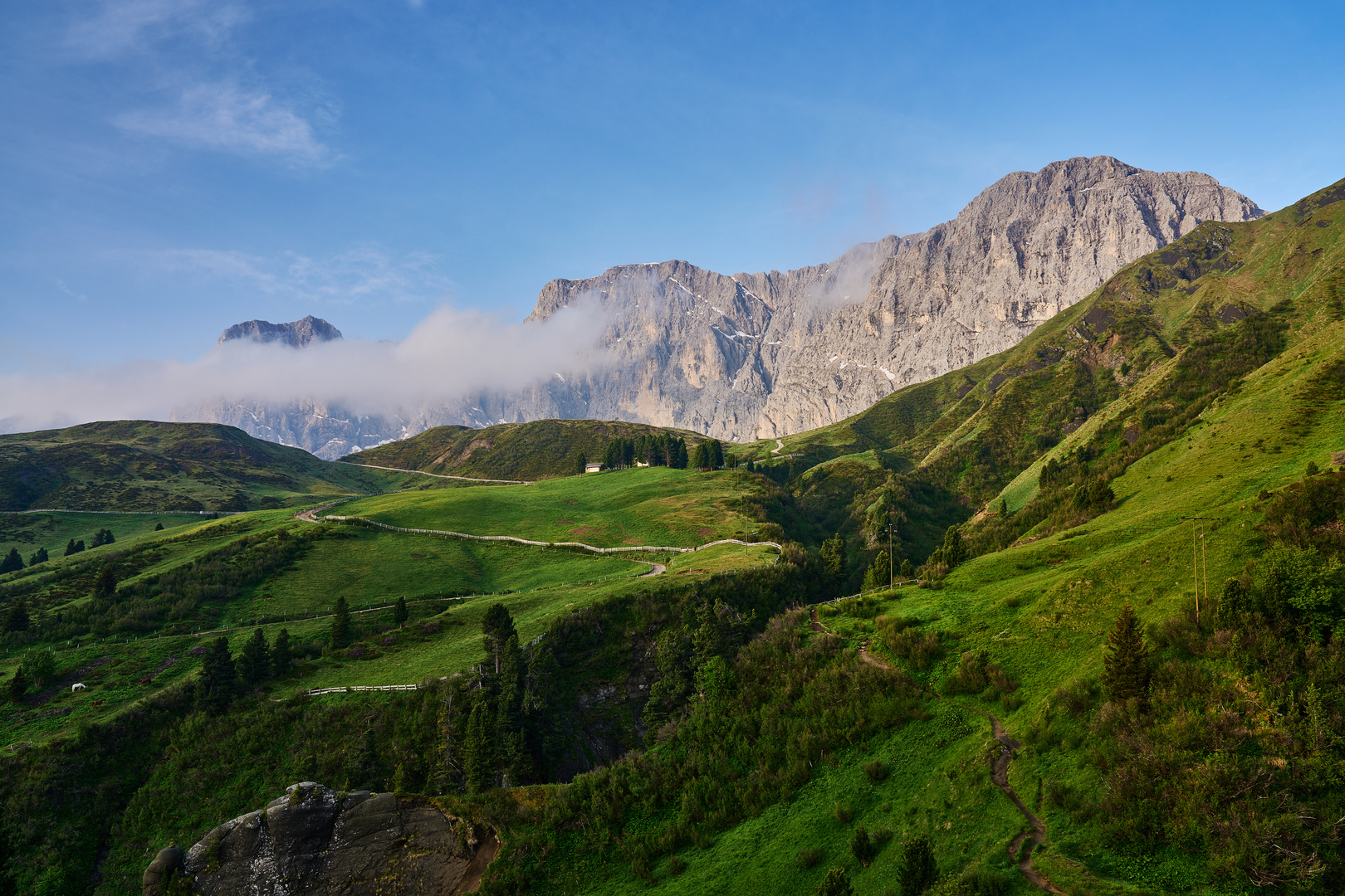 Blick zum Rosengarten