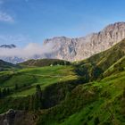 Blick zum Rosengarten