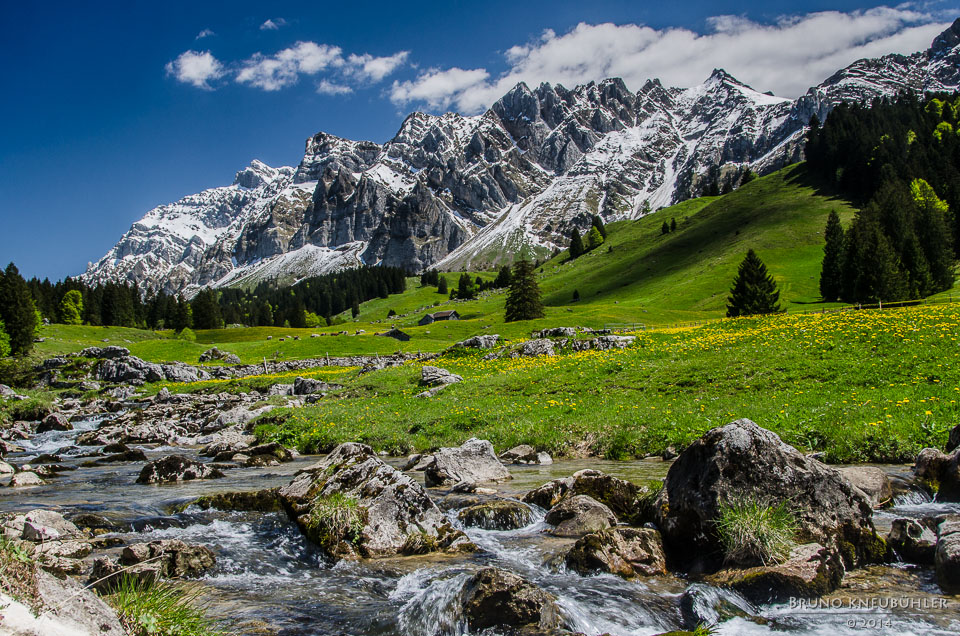 Blick zum Säntis