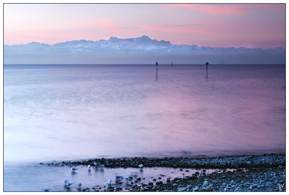 Blick zum Säntis