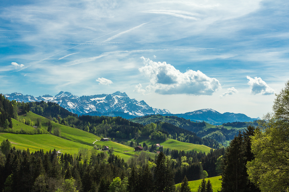 Blick zum Säntis