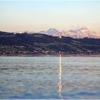 Blick zum Säntis