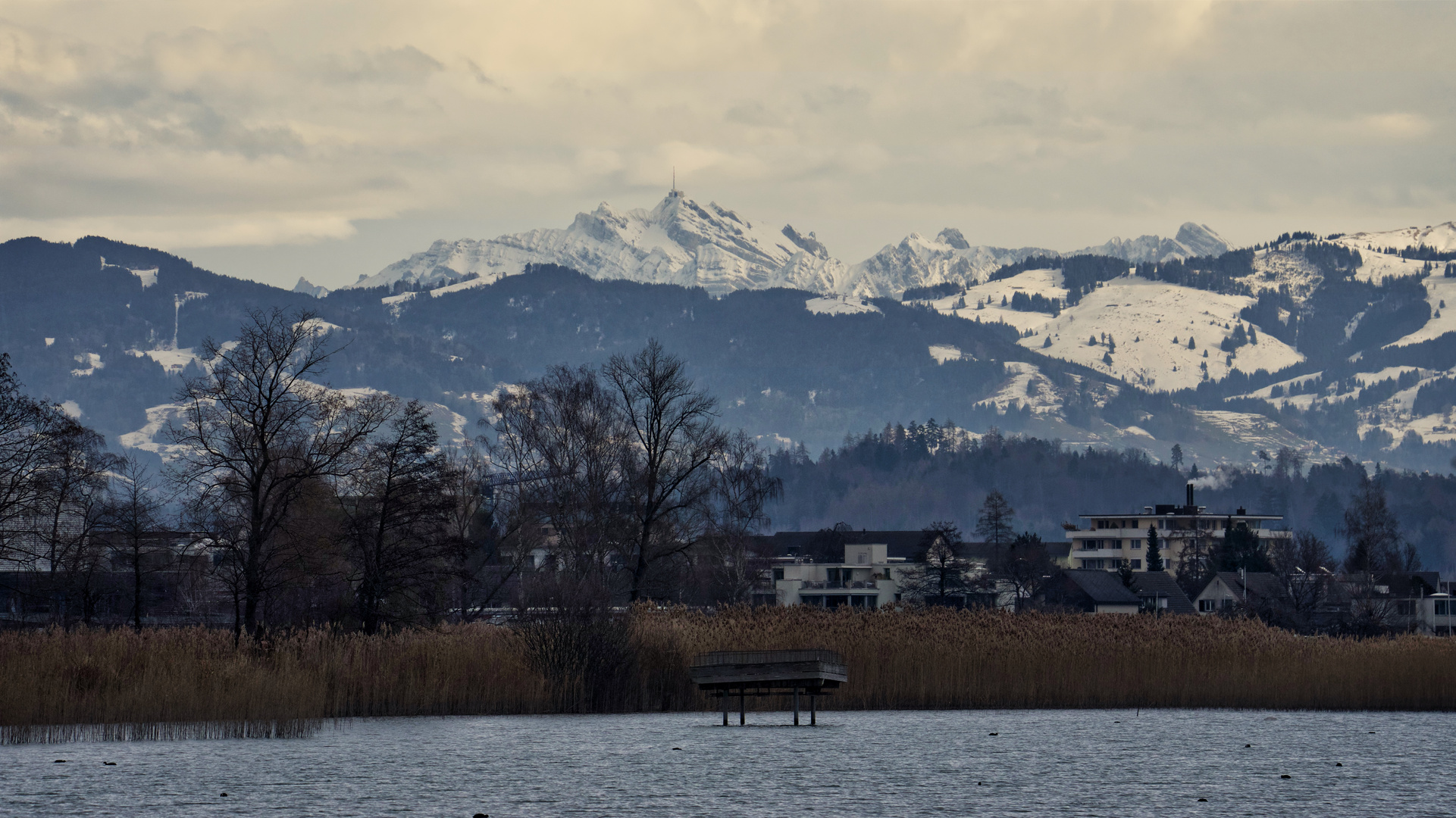 Blick zum Säntis