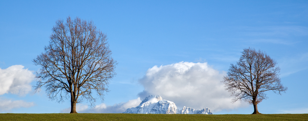 Blick zum Säuling