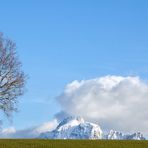 Blick zum Säuling