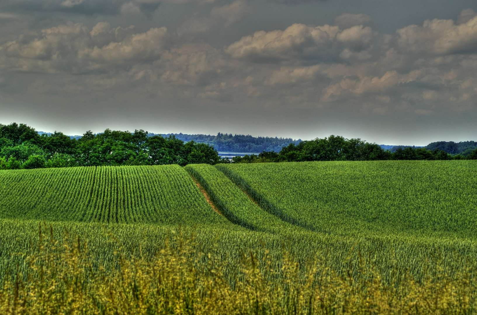 Blick zum Schaalsee