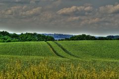 Blick zum Schaalsee