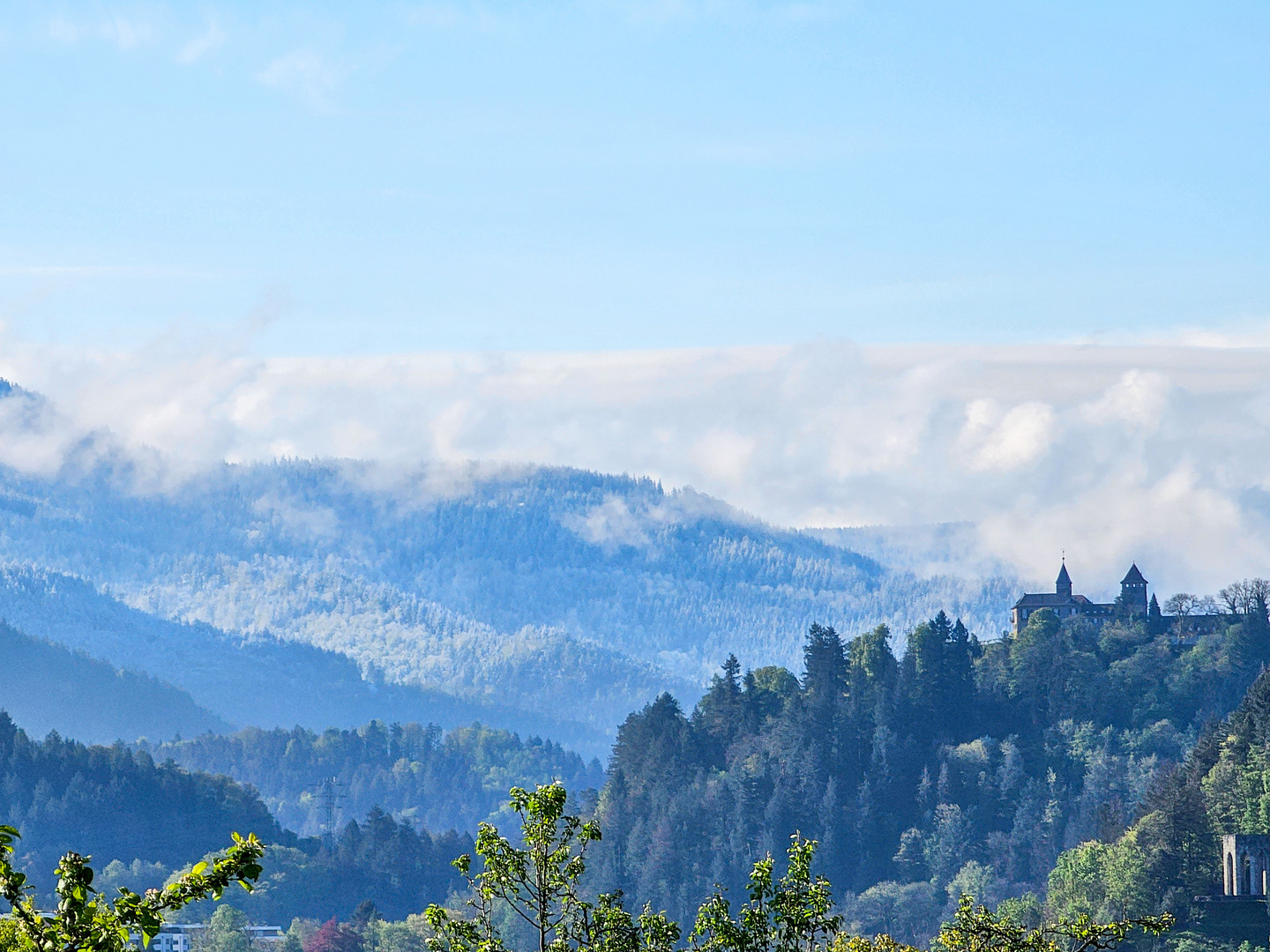 Blick zum Schloß 