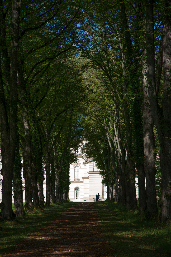 Blick zum Schloss