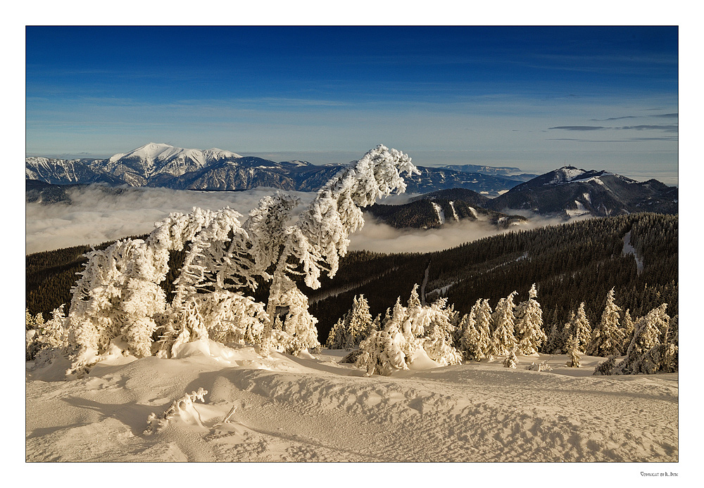 ~~~ Blick zum Schneeberg ~~~