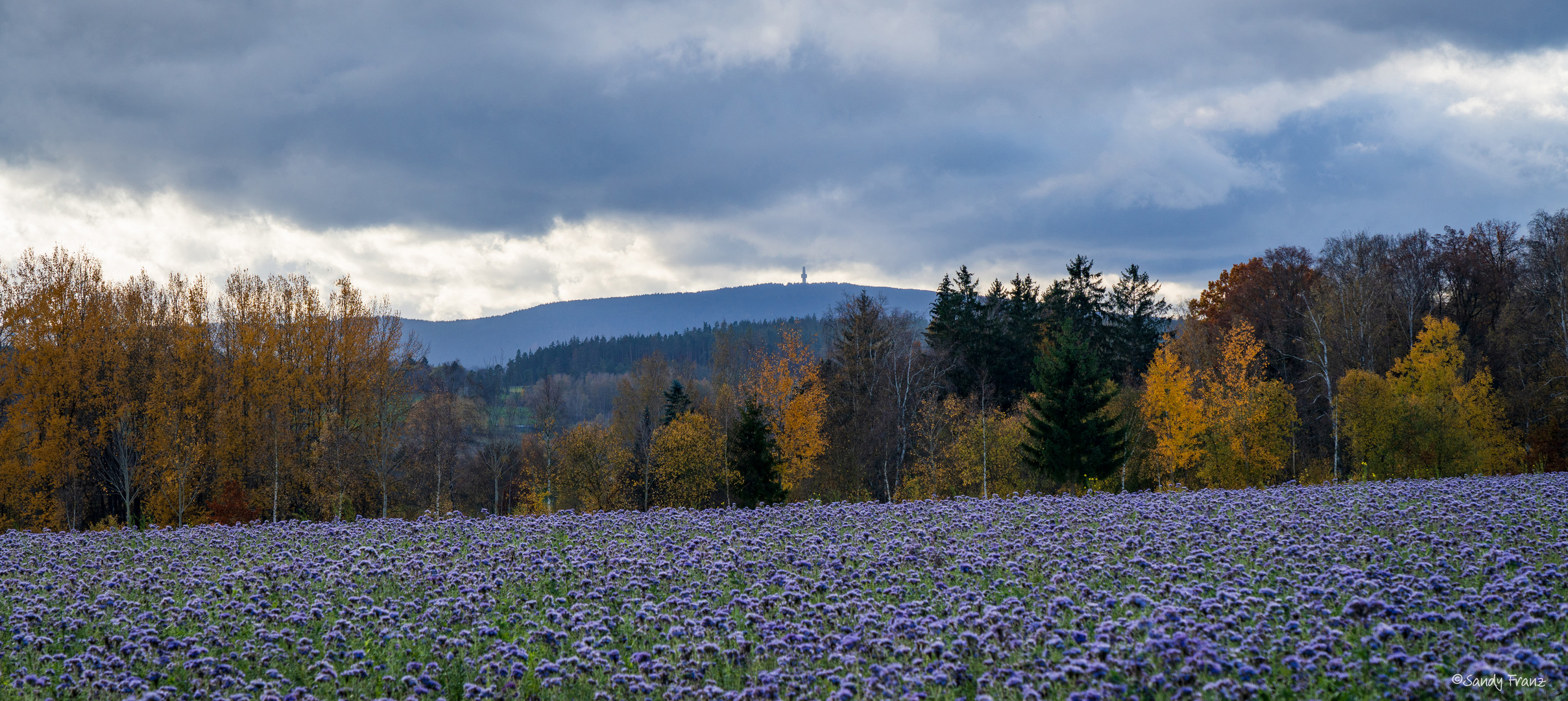 Blick zum Schneeberg