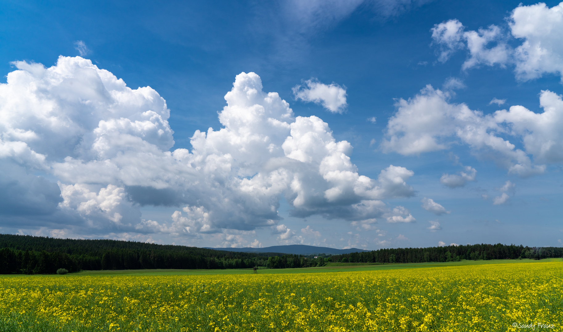 Blick zum Schneeberg